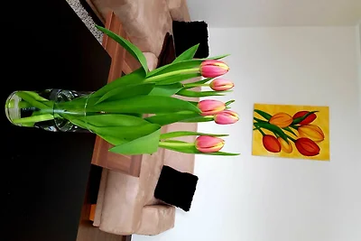 Vakantieappartement Gezinsvakantie Dresden