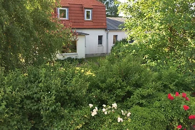 Vakantieappartement Gezinsvakantie Nienhagen