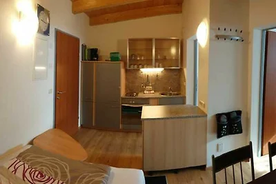 Vakantieappartement Gezinsvakantie Lienz