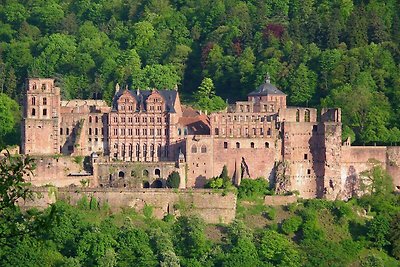 Vakantieappartement Gezinsvakantie Heidelberg