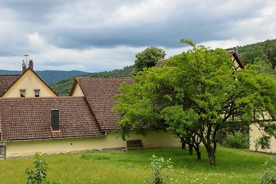 Albergo Cultura ed escursioni Oberharz am Brocken