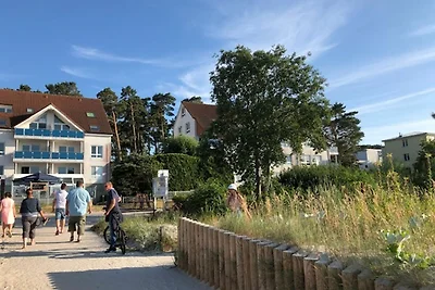 Blaumuschel Haus A Wohnung 8 DH-145721