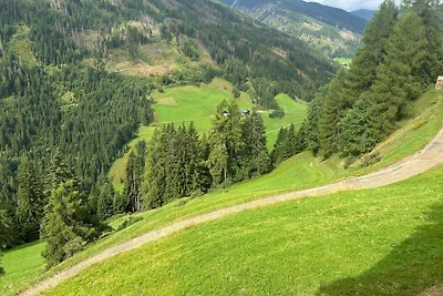 Ferienhaus/Almhütte mit 2 Doppelbettzimmer