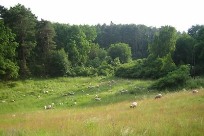 Vakantieappartement Gezinsvakantie Garzau-Garzin