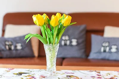 Apartament Dla rodzin Esens