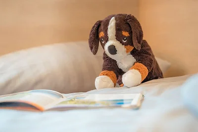 ROB 11 für 5 Personen, ca. 78 qm, Sauna