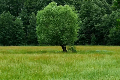 Appartamento Vacanza con famiglia Lübbenau