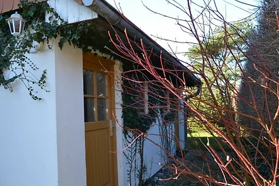 Appartamento Vacanza con famiglia Hiddensee