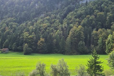 Vakantieappartement Gezinsvakantie Schwyz