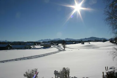 Wiesenblick