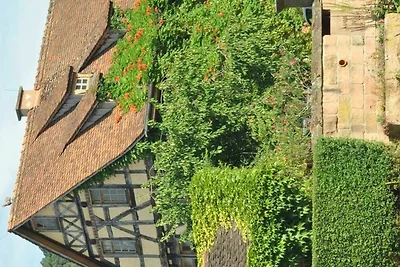 Ferienwohnung Falkenhorst