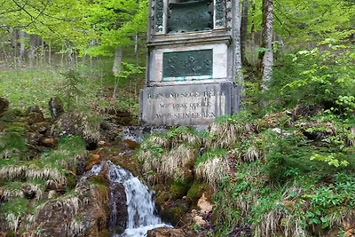 Ferienwohnung Ringberg