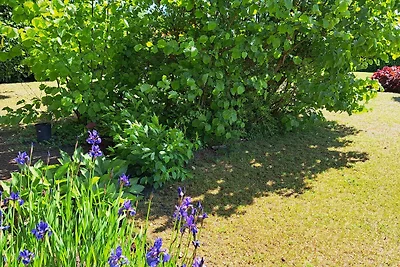 Casa de vacaciones Vacaciones de reposo Neumünster