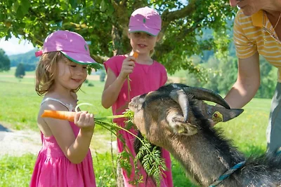 Appartamento Vacanza con famiglia Eisenberg
