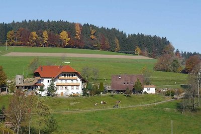 Vakantieappartement Gezinsvakantie Biederbach