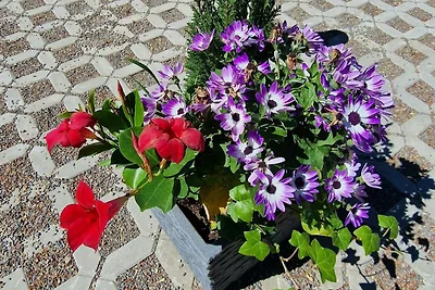 Ferienwohnung im 1. Obergeschoss für 2-8...