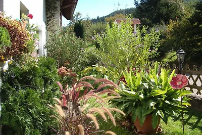 Vakantieappartement Gezinsvakantie Ettenheim