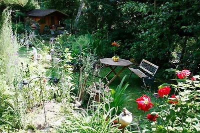 Appartamento Vacanza con famiglia Hinterzarten