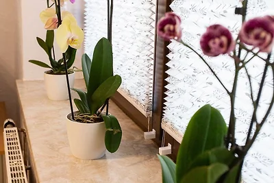 Vakantieappartement Gezinsvakantie Hollfeld