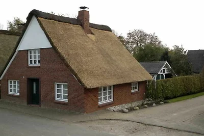 Ferienhaus Am Deich