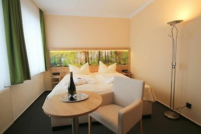 Hotel cultural and sightseeing holiday Friedrichsbrunn