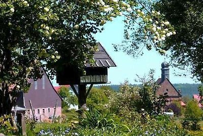 Hotel Cultuur en bezienswaardigheden Miltenberg