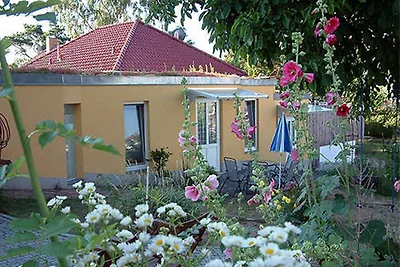 Appartement 11
