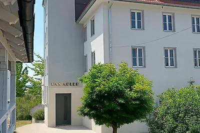 Albergo Cultura ed escursioni Markdorf