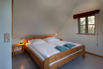 Albergo Cultura ed escursioni Neuenkirchen
