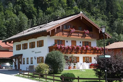 Ferienwohnung 1 Haus Wiesenblick FeWo1