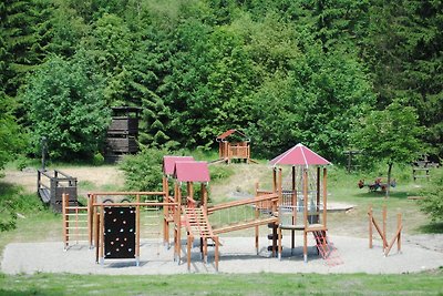 Holiday flat family holiday Clausthal-Zellerfeld