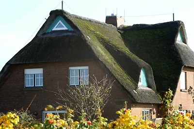 Haus Deichgraf / Reinhard Mathieu