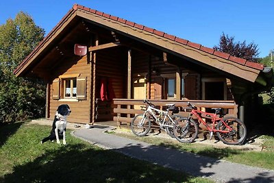 Hotel Cultuur en bezienswaardigheden Stamsried