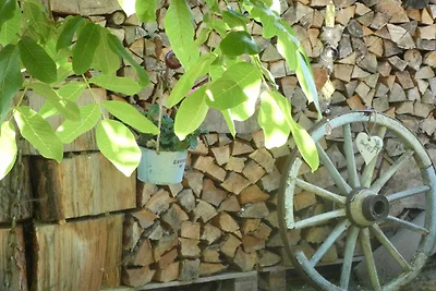 Vakantieappartement Gezinsvakantie Loddin