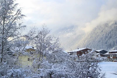 Vakantieappartement Gezinsvakantie Mayrhofen