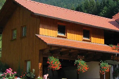 Holiday flat family holiday Elzach