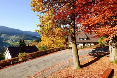 Appartamento Vacanza con famiglia Bad Peterstal-Griesbach