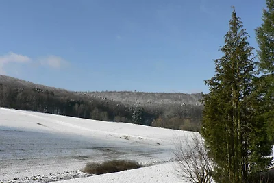 Vakantieappartement Gezinsvakantie Höchst im Odenwald