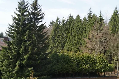 Ferienwohnung Babinski