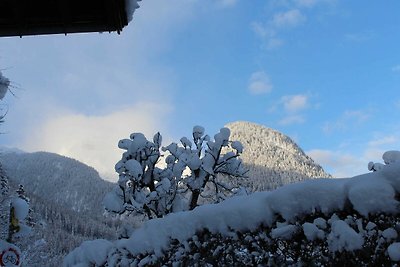 Ferienwohnung Breithorn