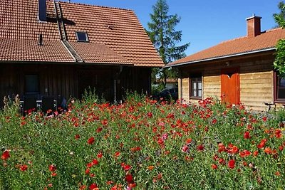 Zedernblockhaus ZBZ Stella