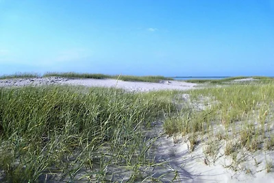 Vakantieappartement Gezinsvakantie Tönning