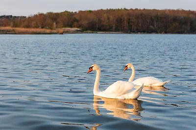 Holiday flat family holiday Putbus
