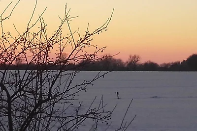 Ländliche Ferienwohnung Flüh