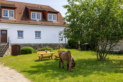 Vakantieappartement Gezinsvakantie Kröpelin