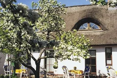 Vakantieappartement Gezinsvakantie Karlshagen