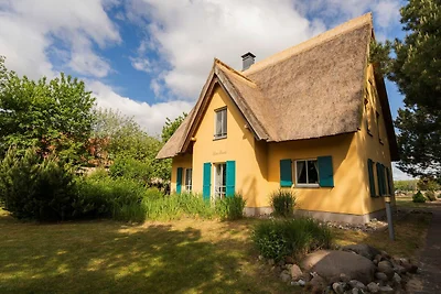 Ferienhaus Storch