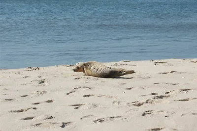 Haus Ankerlicht 1.OG