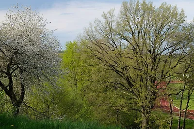 Vakantieappartement Gezinsvakantie Malente