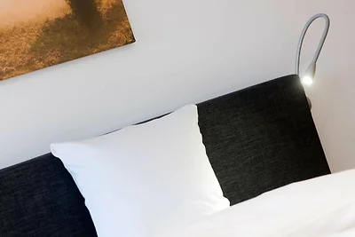 Hotel Cultuur en bezienswaardigheden Amelinghausen